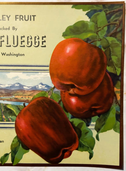 Vintage fruit crate label featuring three large red apples on a branch with green leaves, text reading "Fluegge" and "Washing