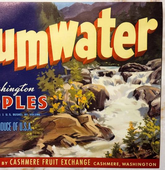 Vintage 1950s Tumwater Brand Washington Apples Crate Label — Distributed by Cashmere Fruit Exchange, Cashmere WA