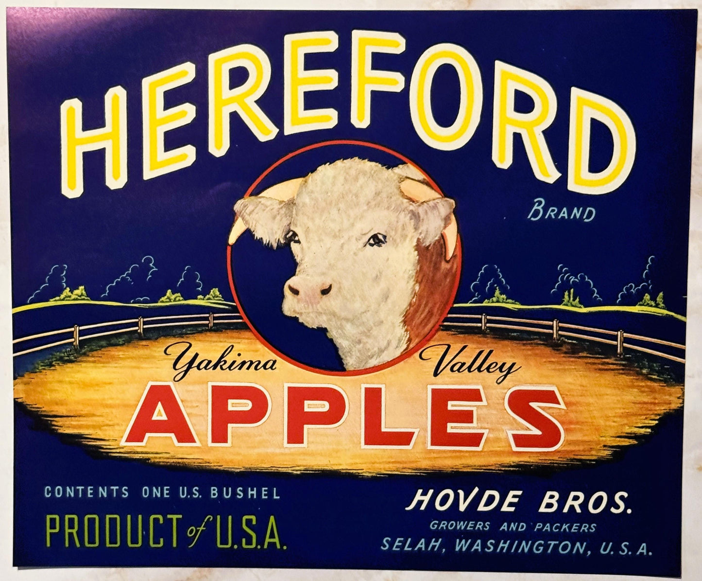 Vintage fruit crate label featuring a white Hereford bull's head in a red circle against a dark blue background with yellow "