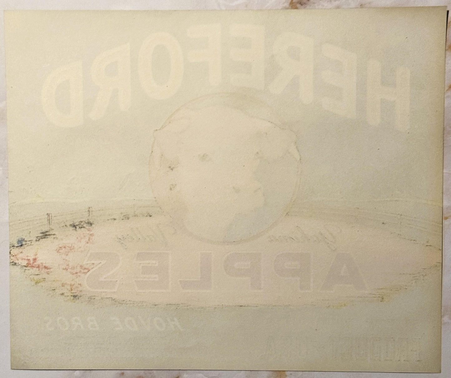 Faded vintage Hereford brand apple crate label showing Hovde Bros. Selah WA with large cattle head illustration and minimal v
