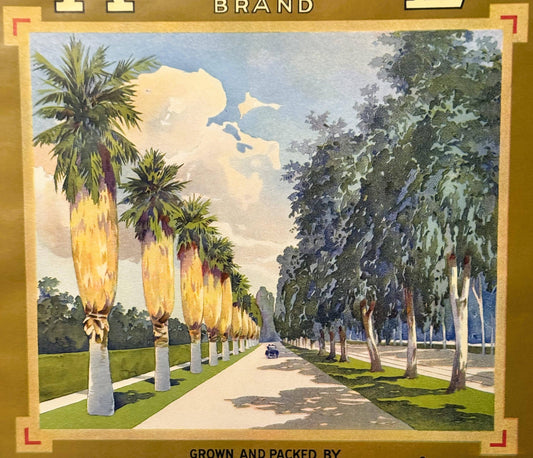 Antique 1920s Avenue Brand Citrus Crate Label — Victoria Avenue Citrus Ass'n, Riverside California