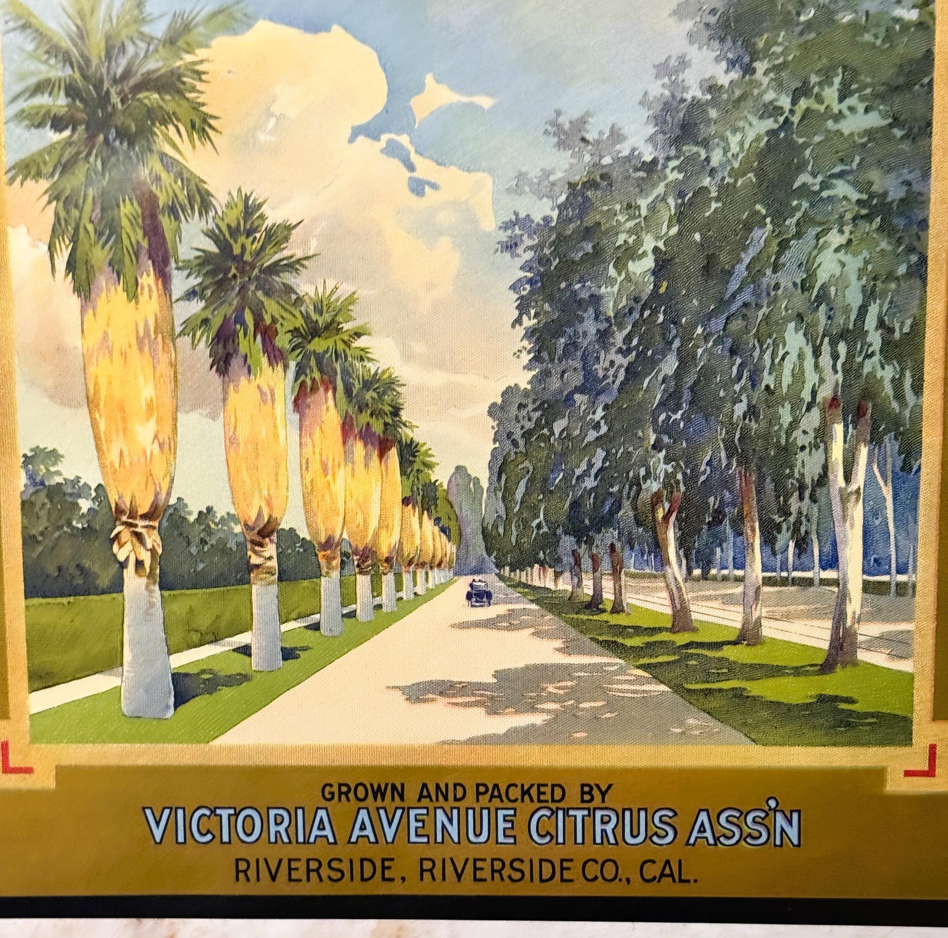Vintage citrus crate label featuring palm-lined avenue with vintage car, printed by Victoria Avenue Citrus Ass'n, Riverside C
