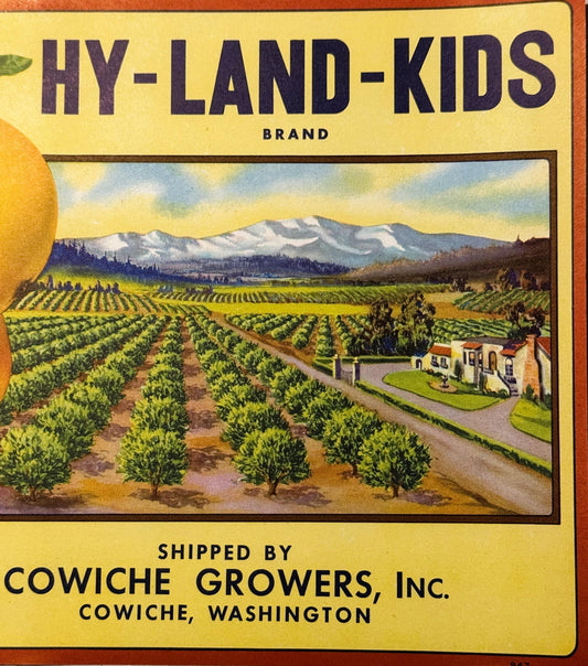 Vintage 1940s Hy-Land-Kids Pears Label from Cowiche Washington