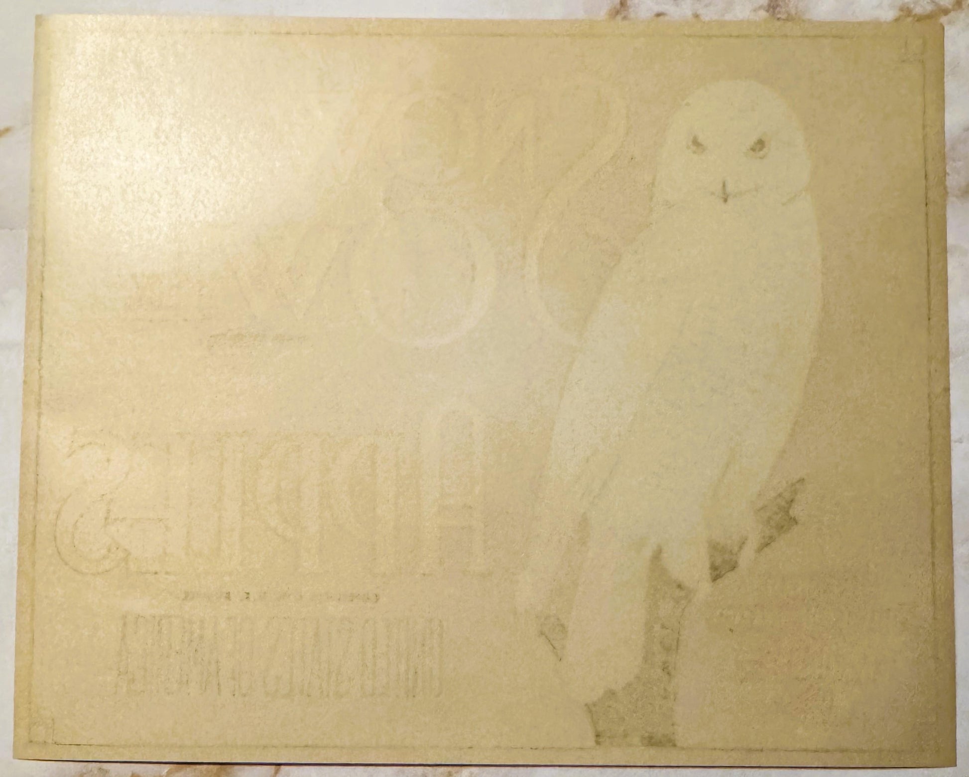 Cream-colored vintage apple crate label with faded Snow Owl brand imagery and text, showing age spots and wear marks on paper