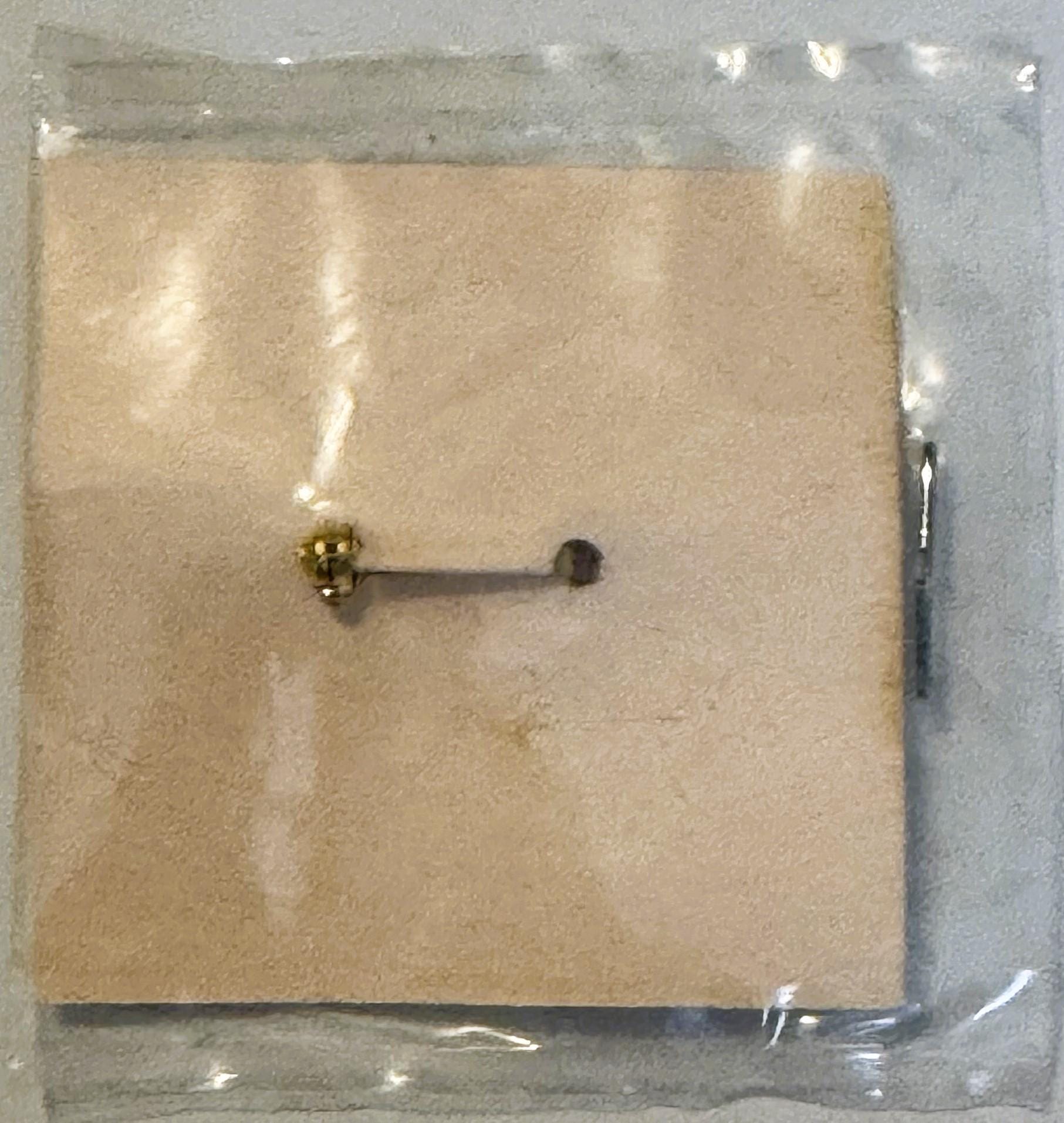 Sealed plastic package containing tan cardboard backing with brass pin attachment and dark metal lever clasp, displayed flat