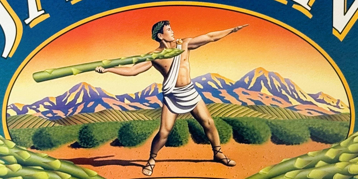 Close-up of the Javelin athlete: a young man in a white tunic and sandals throwing a giant asparagus spear like a javelin, in front of purple mountains and green crop rows at sunset