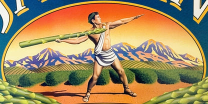 Close-up of the Javelin athlete: a young man in a white tunic and sandals throwing a giant asparagus spear like a javelin, in front of purple mountains and green crop rows at sunset