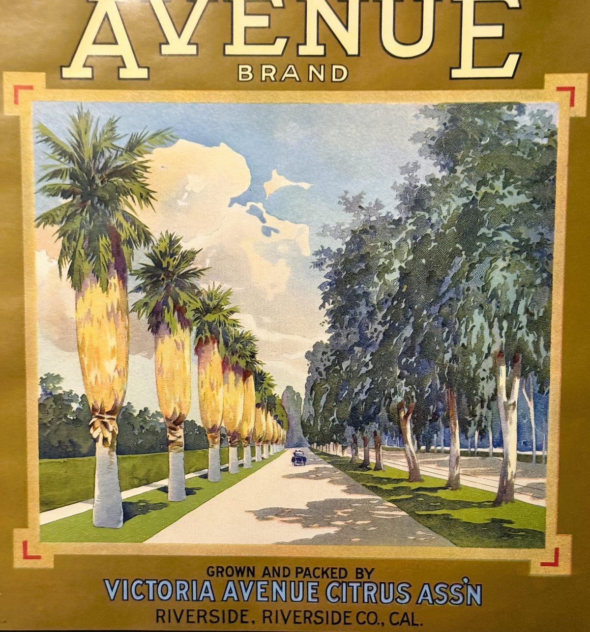 Vintage citrus crate label with gold border showing tree-lined avenue, palm trees, and vintage car under blue sky