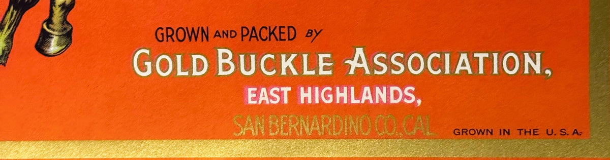 Vintage fruit crate label with orange background, gold band at bottom, showing text for Gold Buckle Association, East Highlan