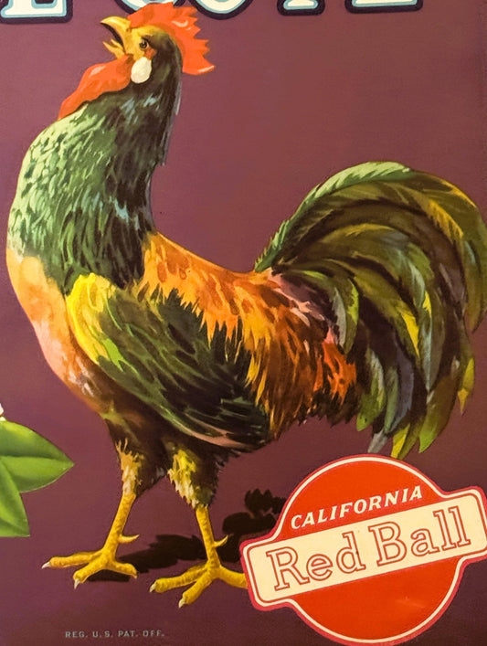 Antique 1930s Pride of Venice Cove Orange Crate Label — Klink Citrus Association, Ivanhoe, Tulare County CA