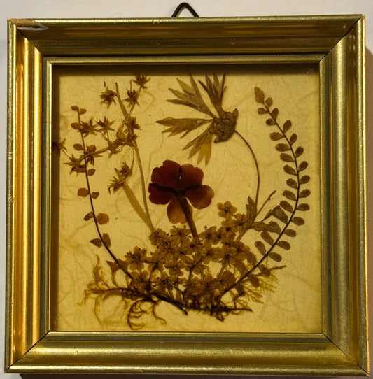 Vintage West German Dried Flower Art 🌸 1972 Framed Pressed Botanical Miniature