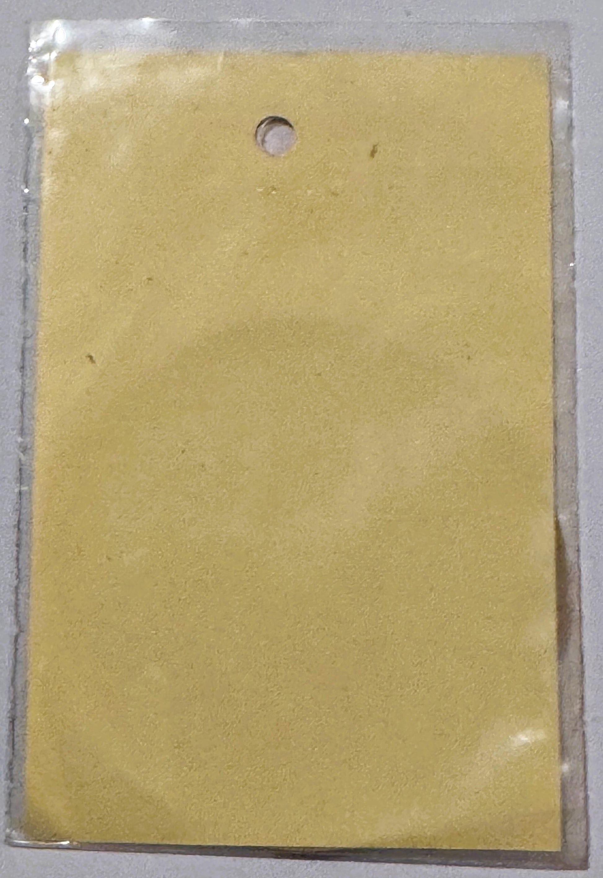Pale yellow vintage decal in clear plastic packaging with single hole punch at top, shown flat against gray surface