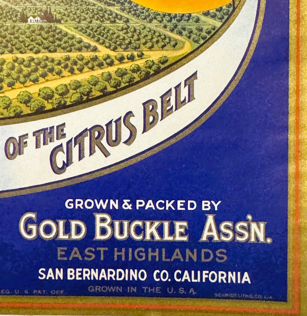 Antique Gold Buckle brand orange crate label showing citrus orchard, blue and cream design with San Bernardino County Califor