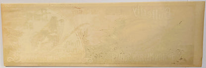 Antique 1890s Butterfly Boston Marrow Squash Label Unearthed