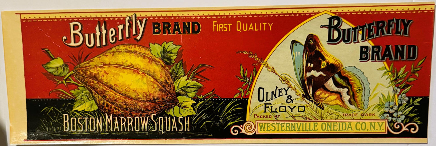 Antique 1890s Butterfly Boston Marrow Squash Label Unearthed