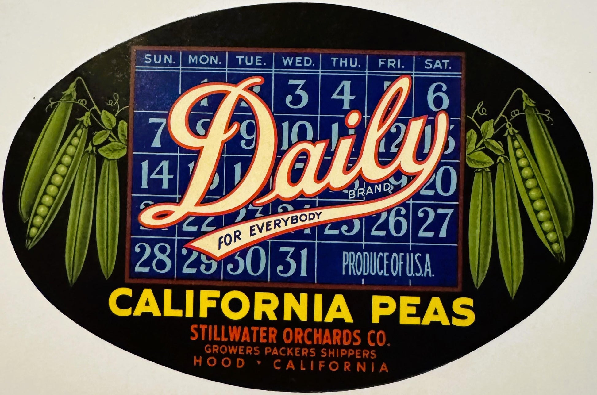 Vintage oval Daily Brand peas crate label with calendar grid, pea pod illustrations, and text reading "For Everybody" and "St