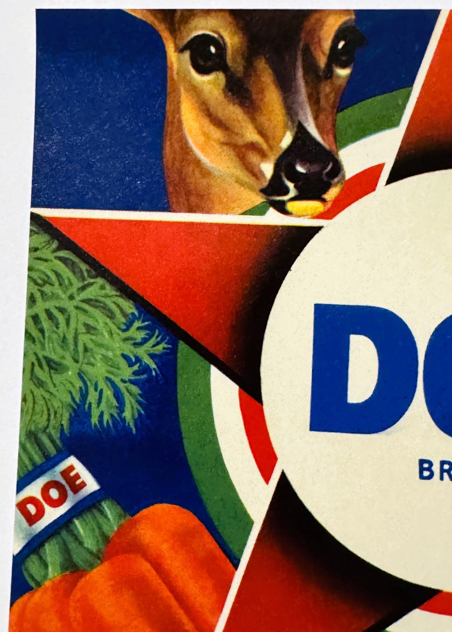 Vintage 1950s Doe Brand Carrots Crate Label 🥕 — Joe Maggio, Inc., Holtville CA — Produce Reporter Blue Book Emblem