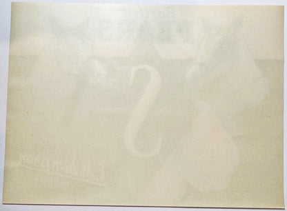 Back of the Diamond S label: plain paper with the design showing faintly through in reverse