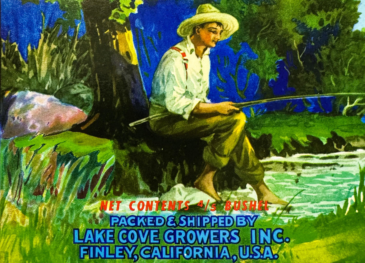 Vintage 1950s Lakecove Brand Lake County Mountain Bartlett Pears Crate Label 🍐 — Lake Cove Growers Inc., Finley CA
