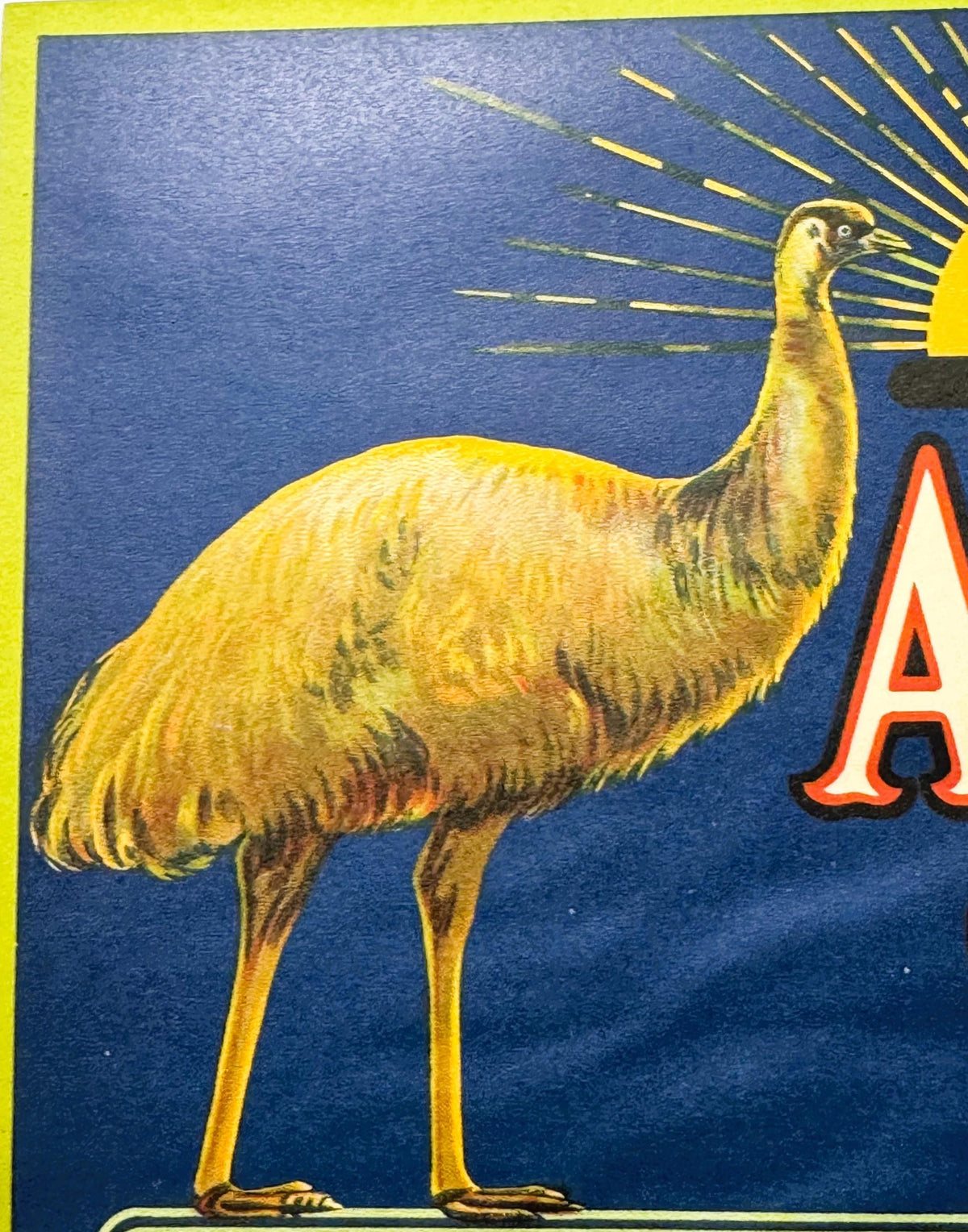 Close-up of the label's emu, showing the lithographed feather detail against the deep blue ground and radiating sunburst.
