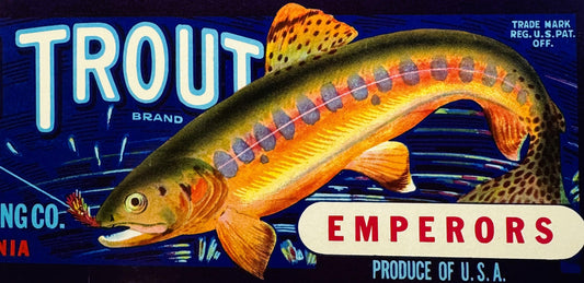 Vintage 1940s Golden Trout Brand Emperors Crate Label 🍎 W. F. Cosart Packing Co, Exeter California, Blue Anchor, Fishing Rustic Decor
