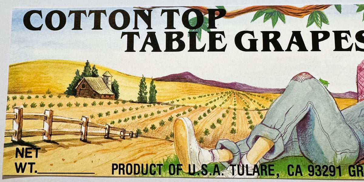 Vintage fruit crate label for Cotton Top Table Grapes from Tulare, CA, featuring illustrated vineyard landscape, farmhouse, a