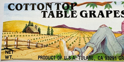 Vintage fruit crate label for Cotton Top Table Grapes from Tulare, CA, featuring illustrated vineyard landscape, farmhouse, a