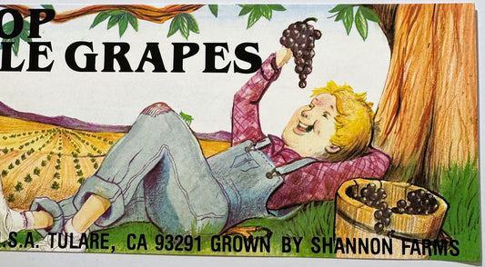 Vintage 1980s Cotton Top Table Grapes Crate Label from Tulare, California