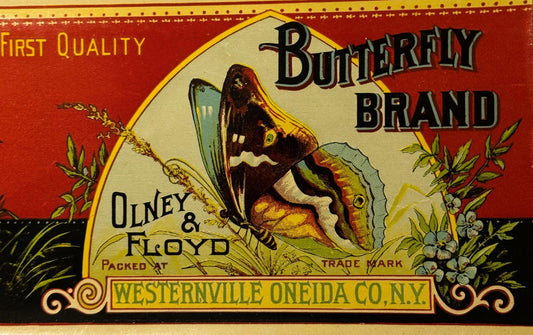 Antique 1890s Butterfly Boston Squash Can Label ✨ Westernville, Oneida County, NY