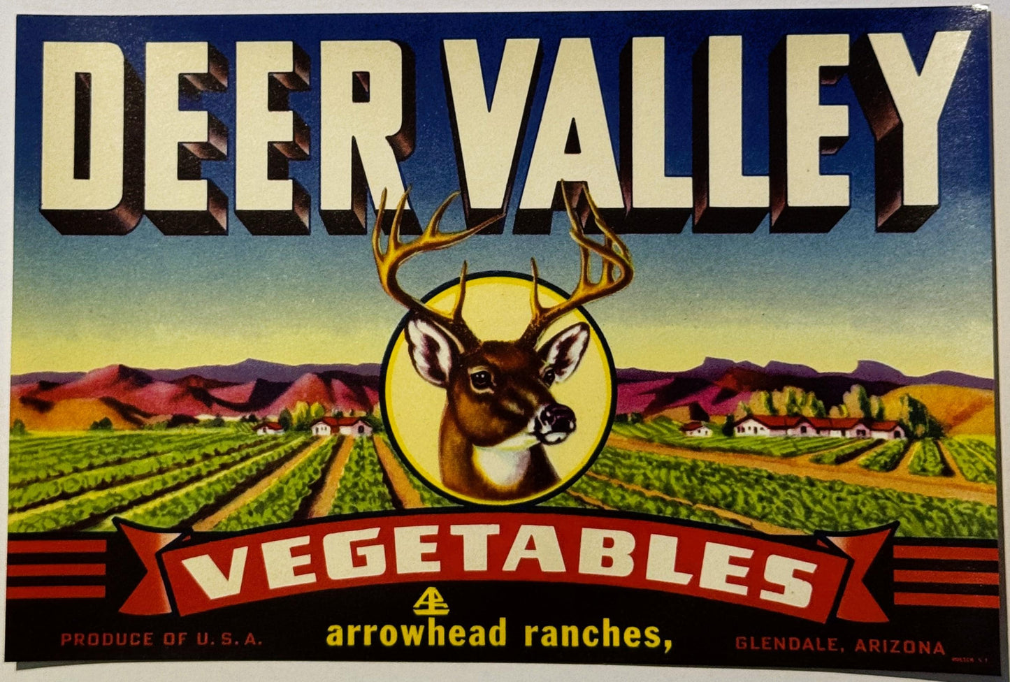 Vintage Deer Valley vegetable crate label featuring a buck's head portrait, agricultural fields, and "Arrowhead Ranches, Glen