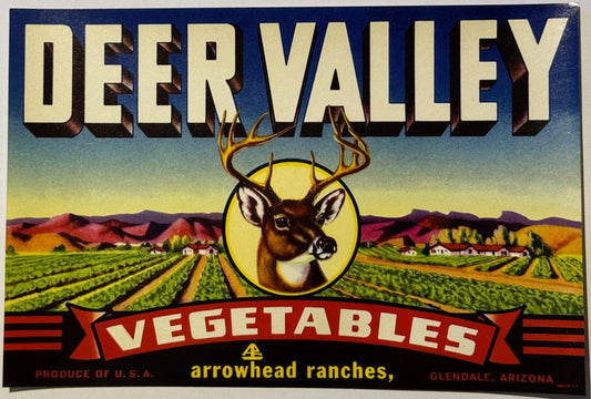 Vintage 1950s Deer Valley Crate Label 🍎 Glendale, AZ, Neat History Mafia Farmers?