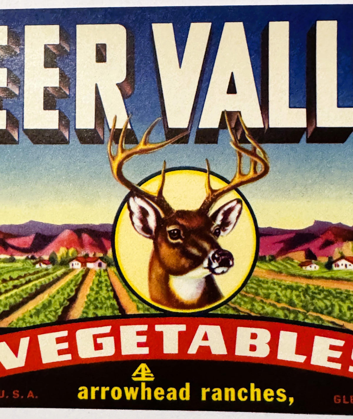 Vintage produce crate label featuring a buck's head in a yellow circle with "Deer Valley Vegetables" text and agricultural la