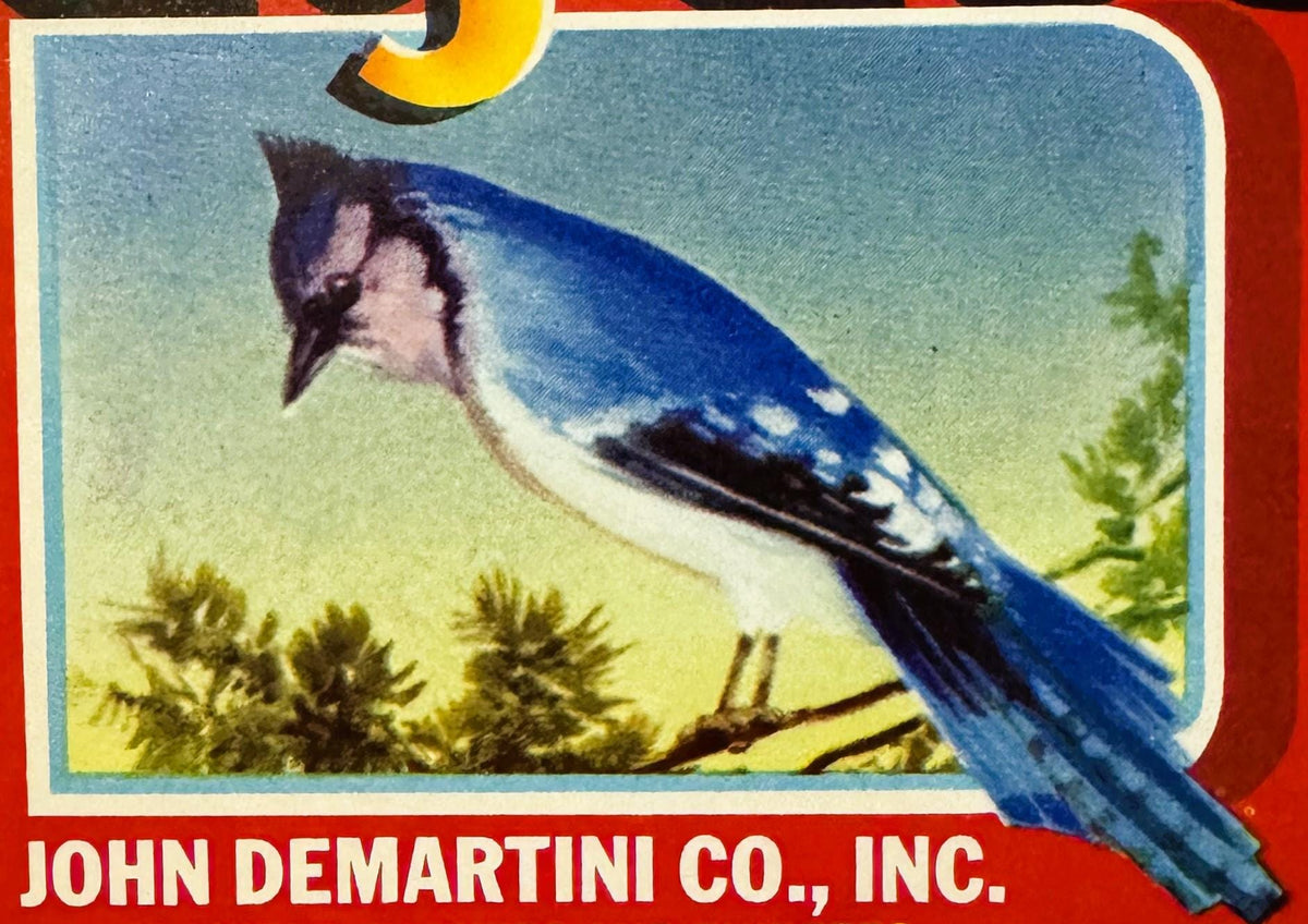Vintage fruit crate label featuring a blue jay perched on a branch with green foliage, red border, yellow crescent moon, and 