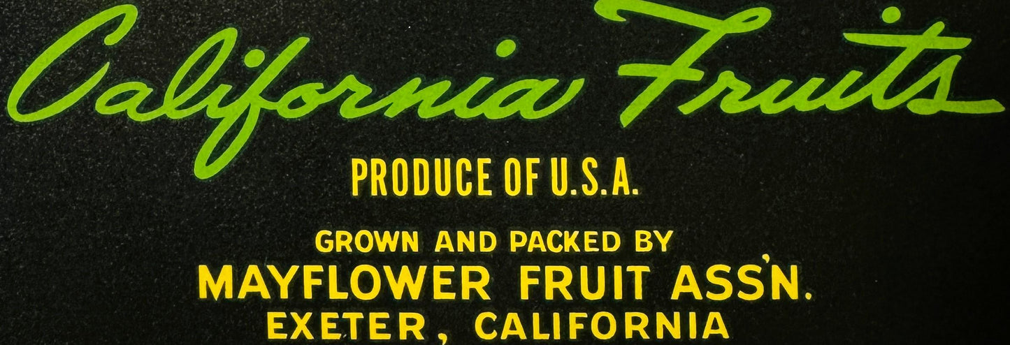 Vintage 1950s Mayflower Brand Crate Label 🍎 California Fruits, Mayflower Fruit Ass'n, Exeter California, Blue Anchor Galleon Art