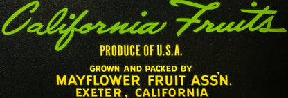 Vintage 1950s Mayflower Brand Crate Label 🍎 California Fruits, Mayflower Fruit Ass'n, Exeter California, Blue Anchor Galleon Art