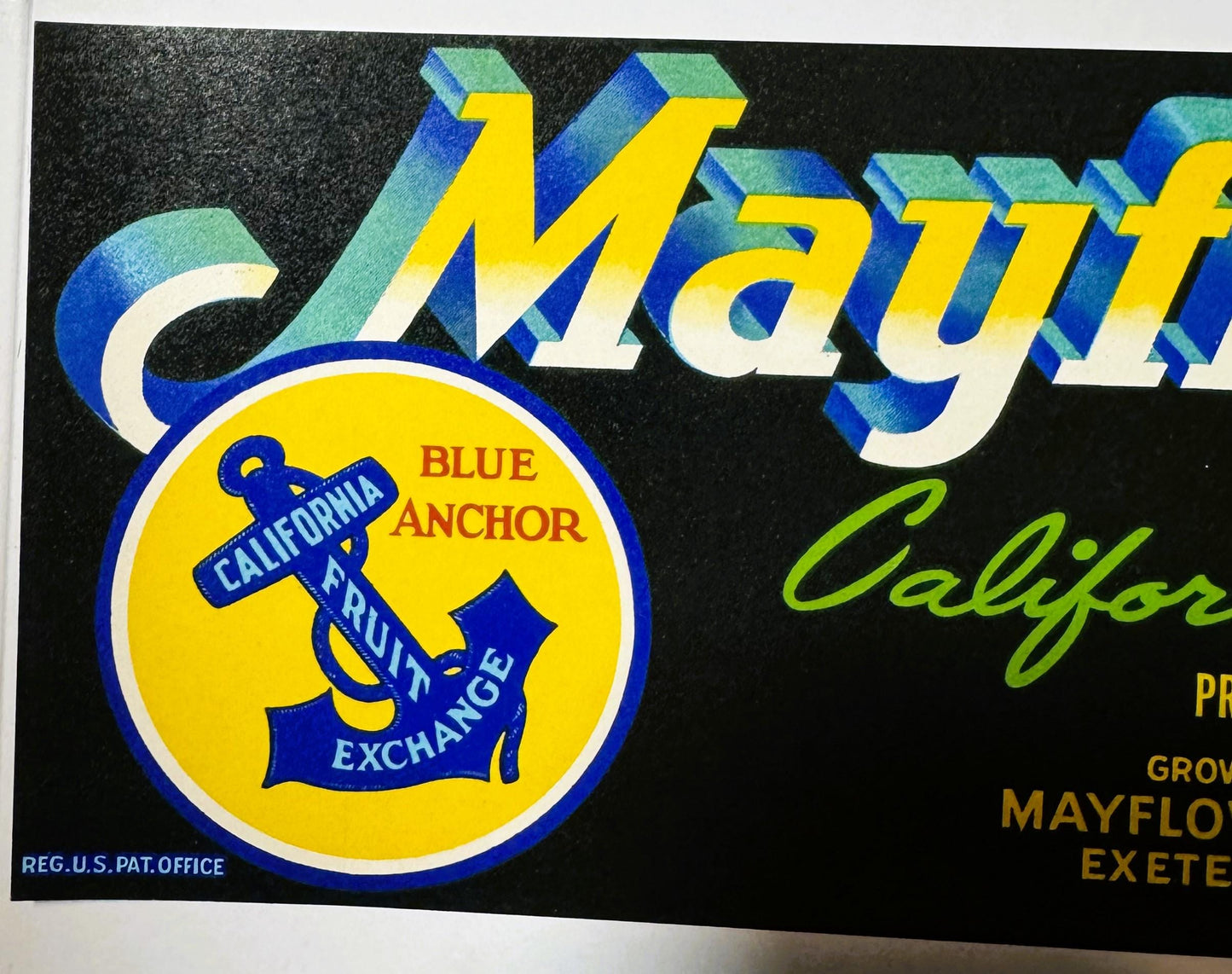 Vintage 1950s Mayflower Brand Crate Label 🍎 California Fruits, Mayflower Fruit Ass'n, Exeter California, Blue Anchor Galleon Art