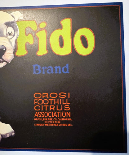 Antique 1930s Fido Brand Citrus Crate Label 🍎 Orosi Tulare County California