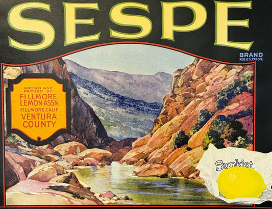 Antique 1930s Sespe Brand Sunkist Lemon Crate Label 🍋 — Fillmore Lemon Assn., Fillmore, Ventura County CA