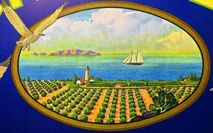 Vintage oval citrus crate label featuring agricultural fields, lighthouse, sailboat, and flying birds on blue background with