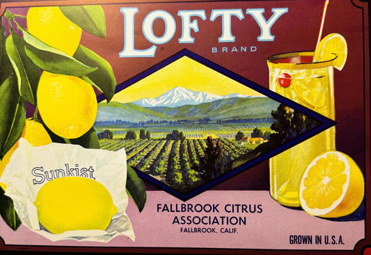 Vintage Lofty Lemons Crate Label: Fallbrook California Rustic Decor 🍎