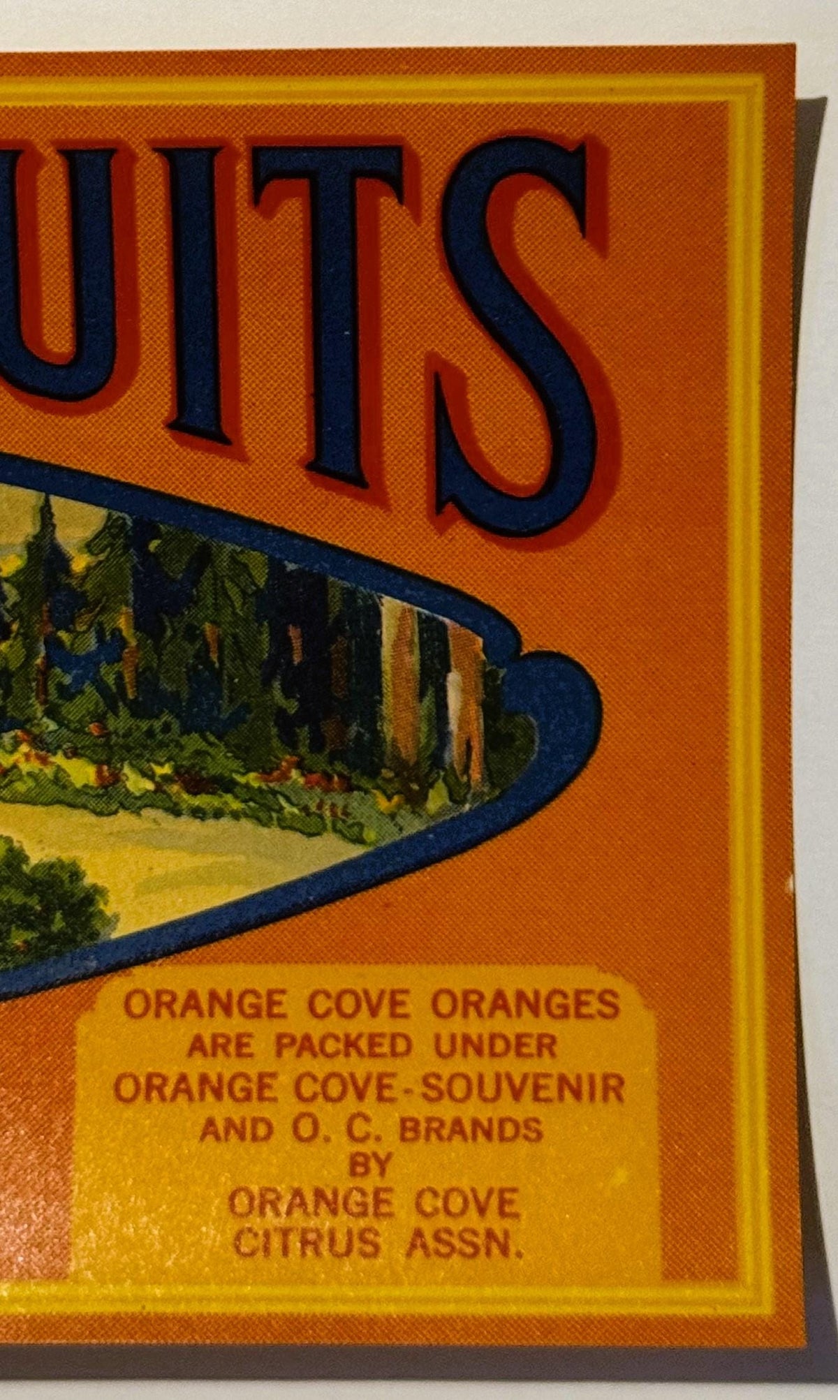 Close-up of vintage orange crate label with "UTS" text in navy and red on orange background, yellow border, and pastoral land
