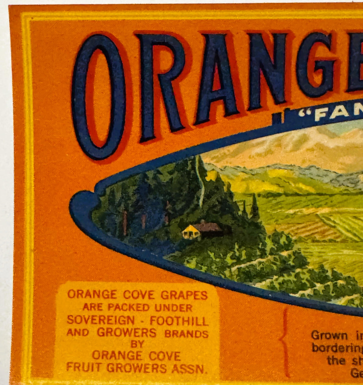 Vintage orange fruit crate label with bold navy text on orange background, featuring a pastoral valley landscape vignette