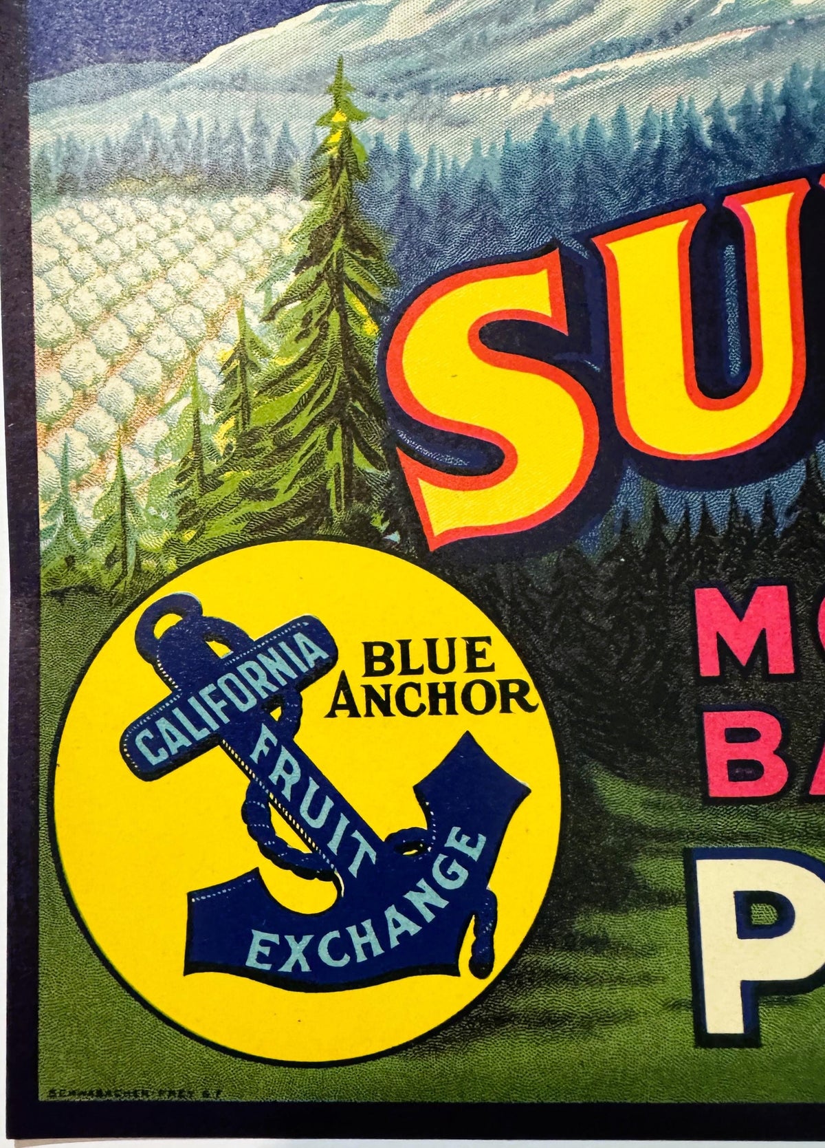 Vintage fruit crate label featuring yellow "SU" text, blue anchor logo reading "California Blue Anchor Fruit Exchange," and m