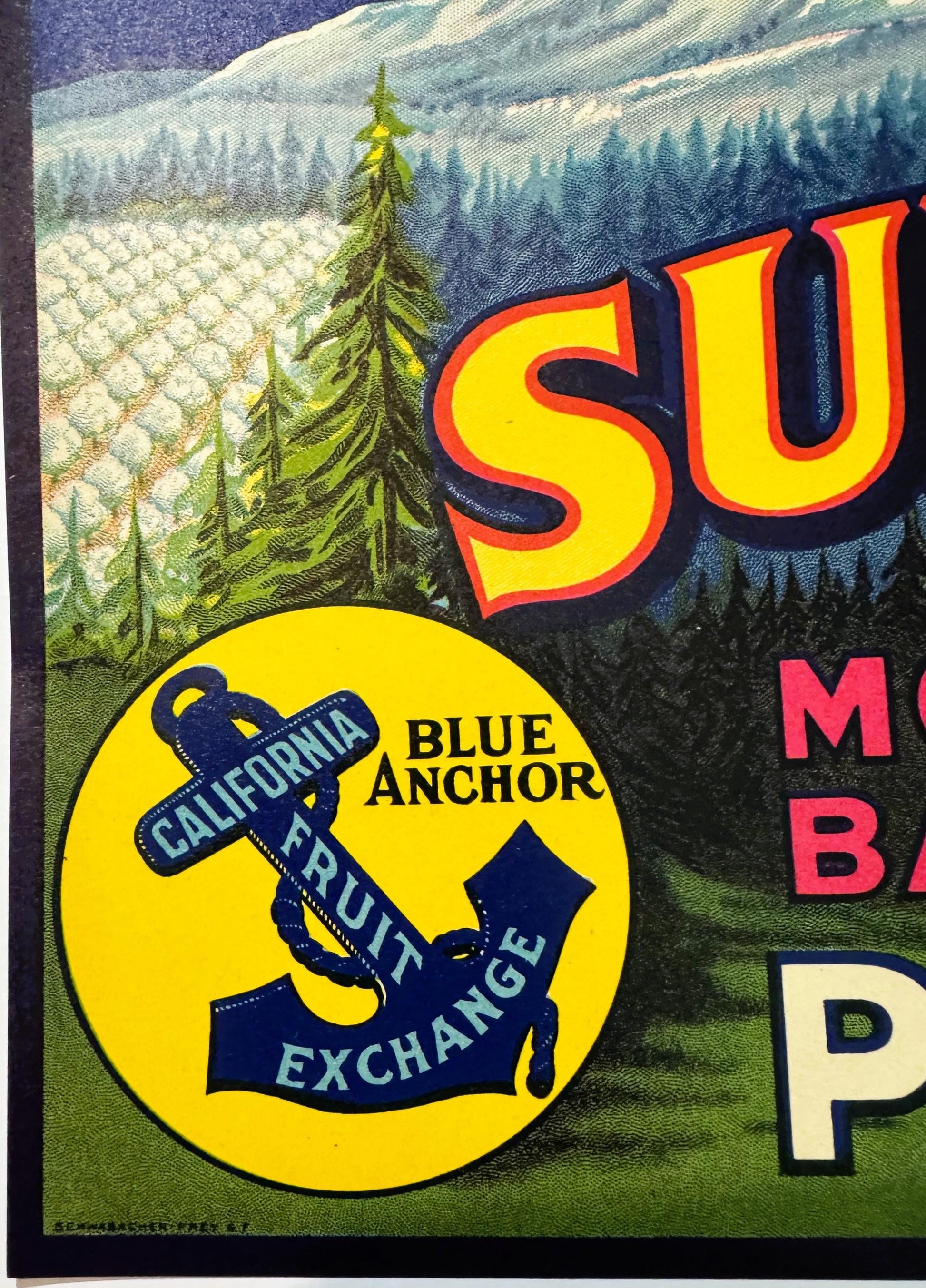 Vintage fruit crate label featuring yellow "SU" text, blue anchor logo reading "California Blue Anchor Fruit Exchange," and m
