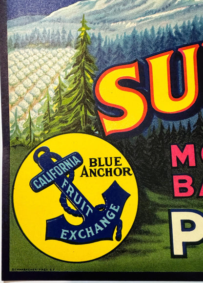 Vintage fruit crate label featuring yellow "SU" text, blue anchor logo reading "California Blue Anchor Fruit Exchange," and m