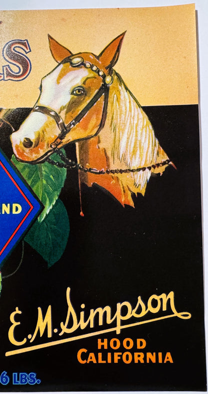 Close-up of a Diamond S horse: a palomino-chestnut head with cream mane in a fine bridle with a pearl-studded brow band, over E. M. Simpson, Hood, California in yellow script