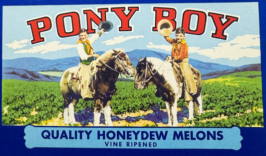 Vintage 1950s Pony Boy Crate Label 🍎 Woodland, CA, Neat Western Family Decor!