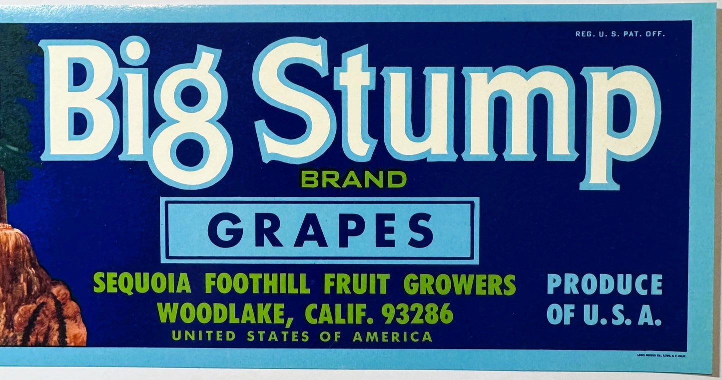 Vintage Big Stump Brand grapes crate label with blue background, cream and yellow text, from Sequoia Foothill Fruit Growers i