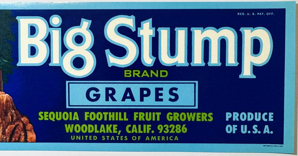 Vintage Big Stump Brand grapes crate label with blue background, cream and yellow text, from Sequoia Foothill Fruit Growers i