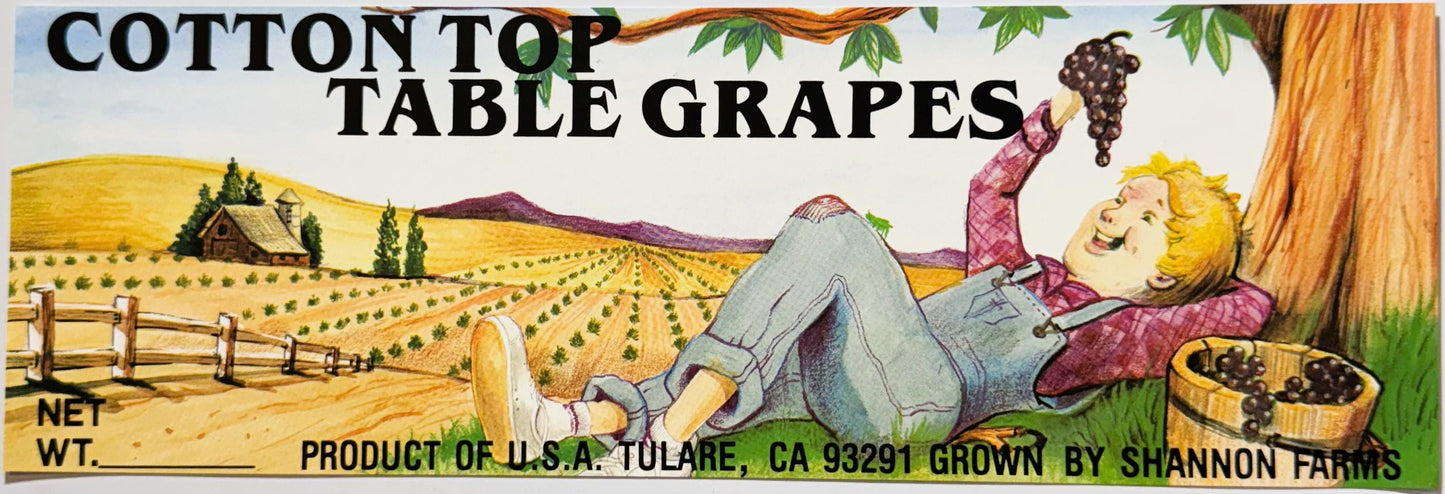 Vintage fruit crate label for Cotton Top Table Grapes from Tulare, CA, featuring a smiling man relaxing under a tree with vin
